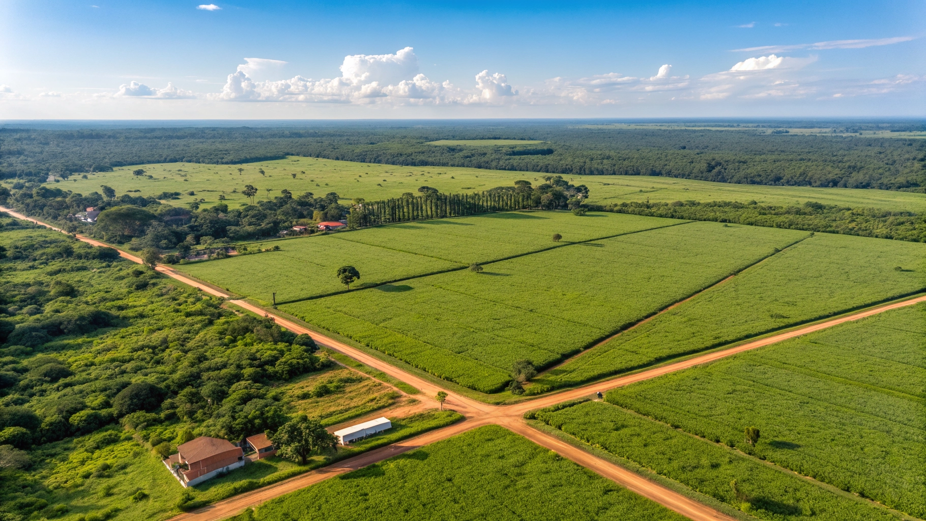 Residential Land in Lusaka